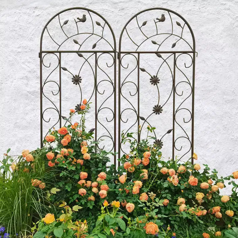 Lot de 4 treillis de jardin en métal de 220 x 50 cm – Antirouille, marron, pour plantes grimpantes et fleurs d'extérieur